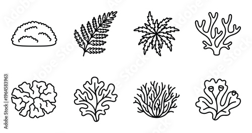 Lichen and moss species line icons featuring different shapes of thallus and forest ground vegetation