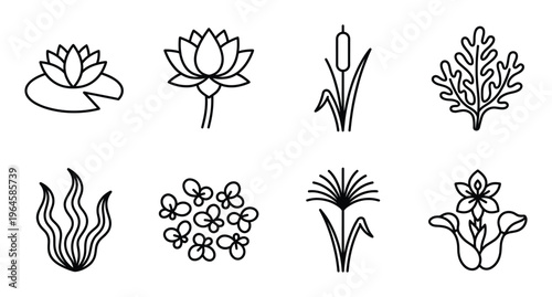 Set of eight black outline aquatic plants isolated on transparent background vector illustration