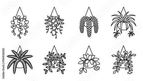 Set of eight hanging house plant line icons on transparent background for home decor designs