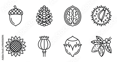 Set of eight line icons depicting various nuts, seeds, and natural produce, isolated