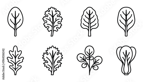 Set of eight line icons depicting various types of leaves, isolated on transparent background