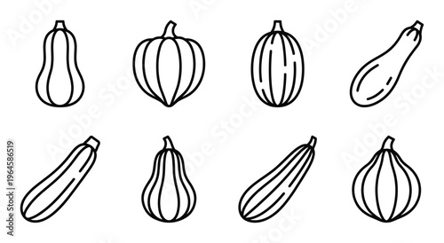 Set of eight pumpkin and squash line art illustrations, featuring various shapes and sizes of gourds