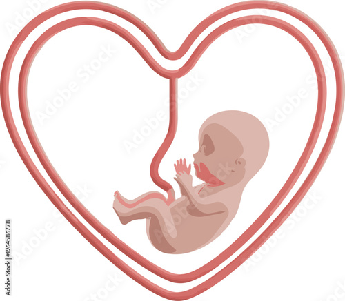 Fetus in Heart Shape Vector Illustration with Umbilical Cord Pregnancy Baby Development Medical Concept Clipart Design