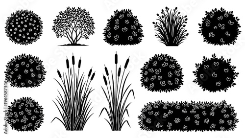 Vector CAD design style illustrations of various foliage plants and trees in a simplistic graphic