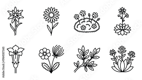 Wildflowers and garden flowers line icons edelweiss daisy flower cluster lotus bloom plant