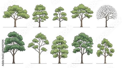 Vector illustration of trees in various styles and seasons with CAD design elements