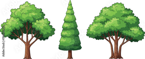 Vibrant cartoon trees illustration featuring two lush broadleaf trees and a distinct conical evergreen tree on a clean white background.