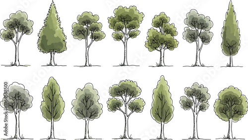 A collection of hand-drawn tree illustrations featuring various shapes and types, perfect for graphic design projects and nature-themed concepts.