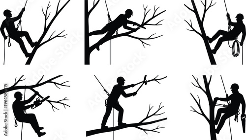 Arborist tree climber silhouettes vector set with rope safety equipment cutting branches chainsaw workers black silhouette collection isolated forestry design pack