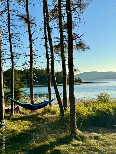 Quadro su tela Hammock Strung Between Pine Trees Overlooking Maine Bay and Island on Peaceful,