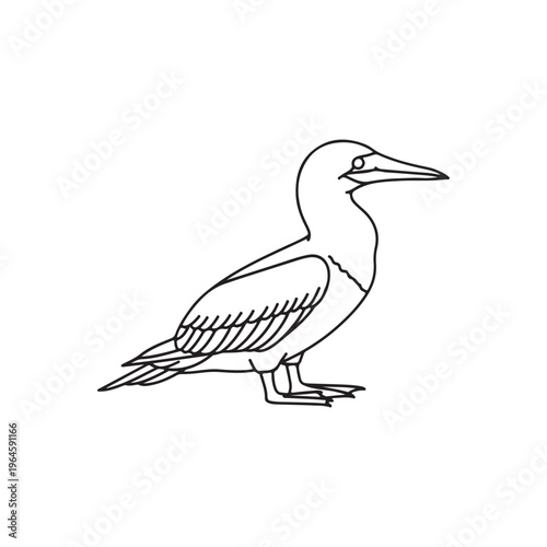 Blue footed booby outline vector flat illustration design