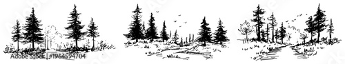 Forest landscape sketches showing pine trees and dirt paths in a hand drawn sketch style