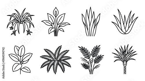 Houseplants and indoor garden greenery icon collection with ferns palms aloe and decorative foliage