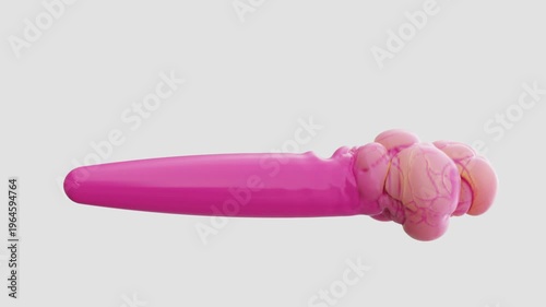 inflatable progress bar