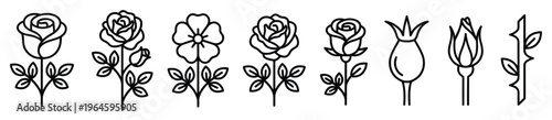 Rose flower development stages and parts icons including buds petals hip and thorny stem line vector