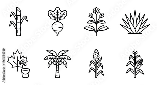 Set of eight isolated black line botanical icons with various plants on transparent background