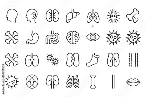 Extensive collection of human body parts and internal organs outline icons for medical and scientific applications
