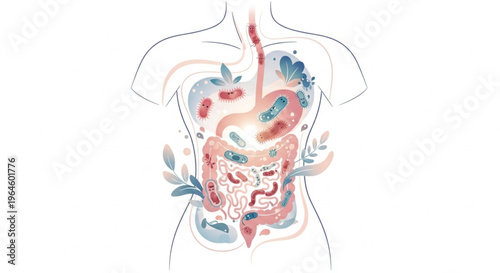 Illustration of the human digestive system with colorful internal organs and plants in a vibrant, educational style