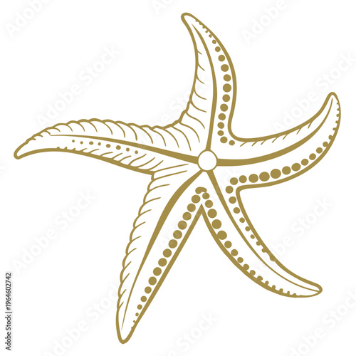 Premium gold starfish icon with elegant metallic style. Ideal for luxury branding, jewelry packaging, spa products, and upscale coastal design.