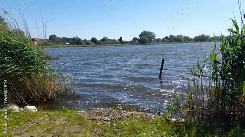 Seewellen am Ufer