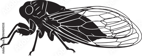 Why These Insects Make the Loudest Buzz in Summer"