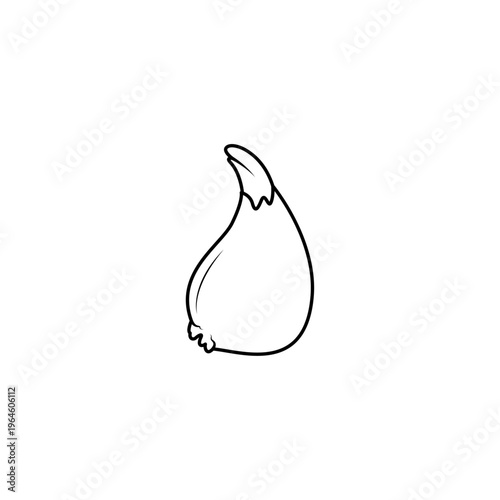 Line art illustration of garden flower bulb isolated on white background. Botanical outline for gardening, planting, floral design and nature themes.