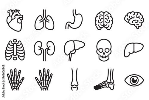 Collection of Human Anatomy Line Art Icons: Organs and Bones