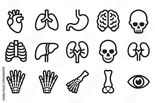 Human Anatomy Line Art Icons Set - Organs and Skeletal System