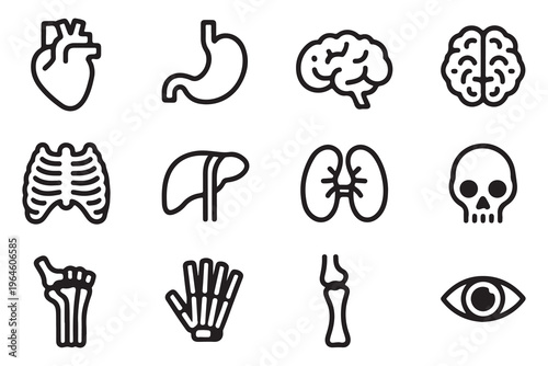 Anatomical Line Icons Set - Human Organs and Skeletal Structure