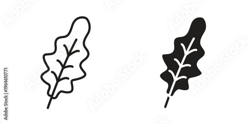 Foto Oak Leaf icons Black symbol on transparent background. EPS10