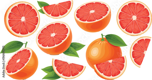 Set of fresh grapefruit slices and whole fruits with leaves isolated on white background citrus vector illustration collection