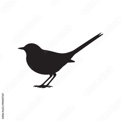 White wagtail silhouette vector flat illustration design.