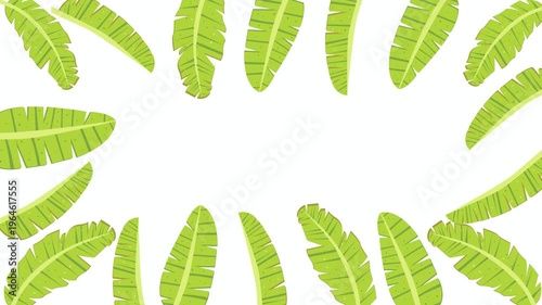 4k Animated Green Banana Leaf Tropical Frame.