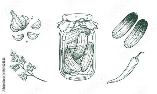 Pickled cucumber set outline sketch vector illustration. Preserved vegetable jar and sliced pickles thin line vector illustration for food design