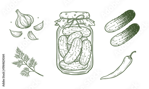 Pickled cucumber set outline sketch vector illustration. Preserved vegetable jar and sliced pickles thin line vector illustration for food design