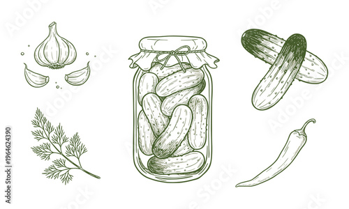 Pickled cucumber set outline sketch vector illustration. Preserved vegetable jar and sliced pickles thin line vector illustration for food design