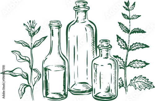 Herbal medicine bottles and fresh herbs hand drawn doodle outline vector illustration
