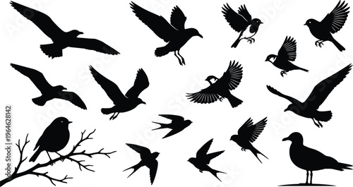 Black silhouette vector illustration of various flying birds, seagulls in flight, swallows, sparrows, and a songbird perched on a branch.