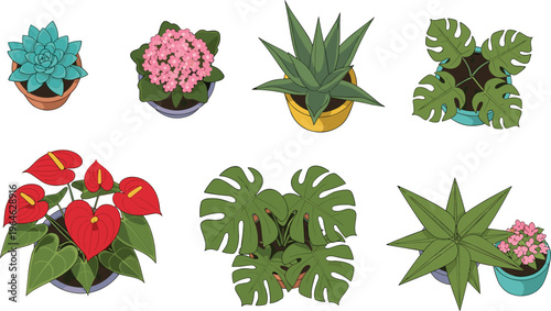 Set of indoor potted plants including monstera cactus and flowers isolated on white background home decor vector illustration collection