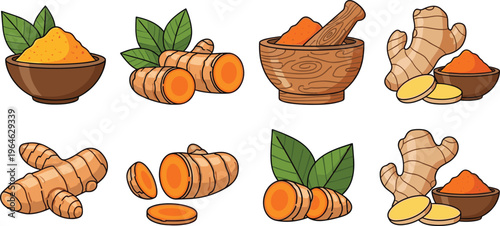 Flat vector illustration collection of fresh ginger and turmeric roots including powder in wooden bowls, sliced pieces, and green leaves for healthy cooking.
