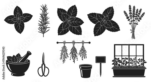 Collection of illustrations of various herbs and gardening tools, perfect for culinary or botanical projects