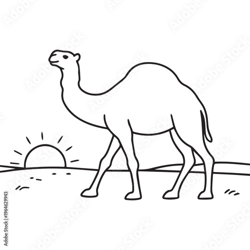 Camel walking in desert landscape with sunset black and white vector illustration