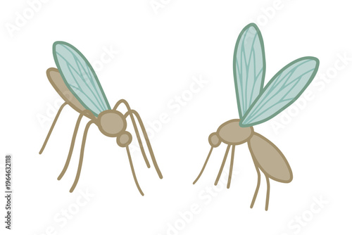 Vector illustration of mosquito insects Основные RGB