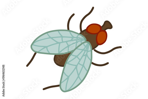 Vector illustration of a fly insect Основные RGB