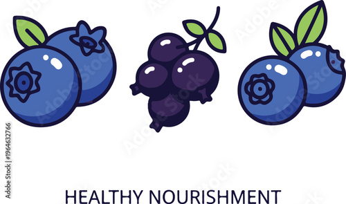 Blueberries and healthy nourishment illustration