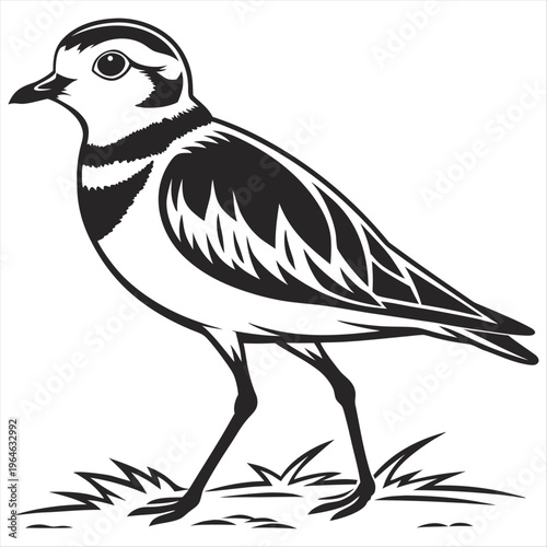 Canvastavla Piping plover black silhouette icon vector