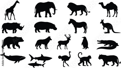 Black silhouettes of various wild animals in different poses and sizes