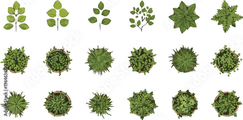 Architectural landscape plan symbols, 18 green tree and shrub top view vector icons, overhead garden vegetation elements for site planning, botanical foliage map symbols isolated PNG with
