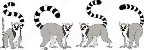 Set of ring tailed lemurs in different poses isolated on white background wildlife primate vector illustration collection