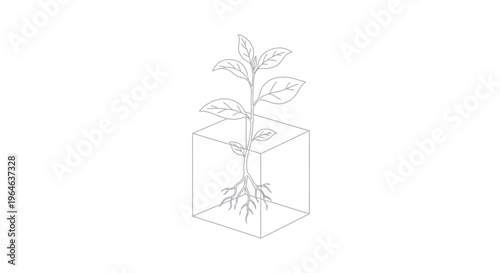 This simple line art illustration depicts a young plant with visible roots growing inside a transparent cube, symbolizing growth, innovation, and controlled natural development.